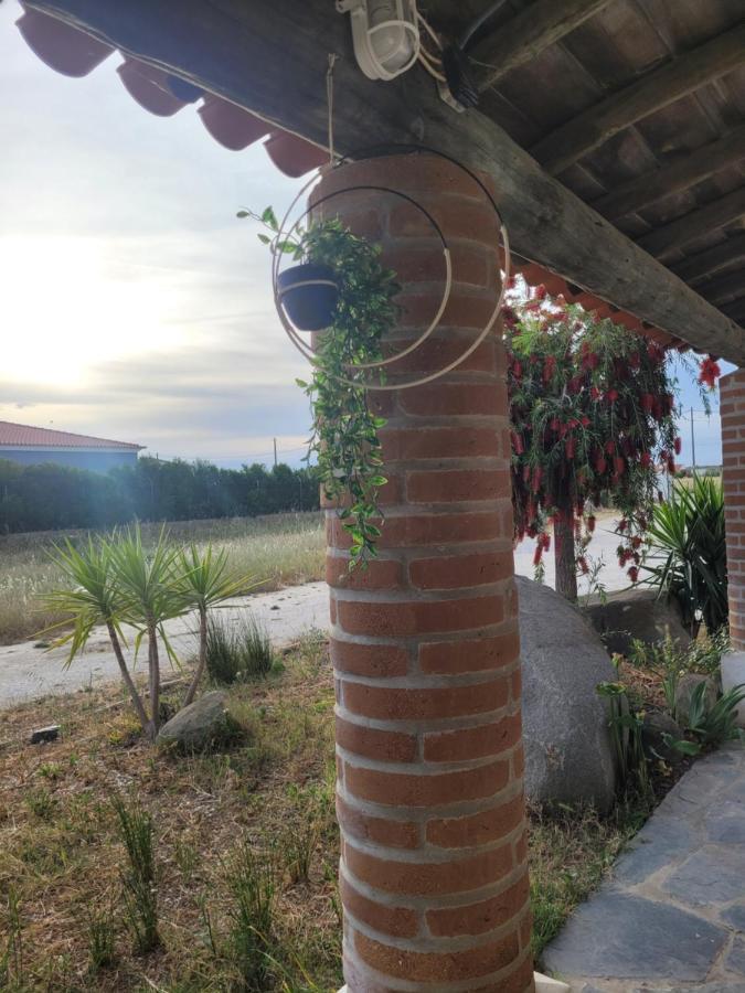 הוילה רגואנגוס דה מונסאראז Quinta Da Belavista מראה חיצוני תמונה