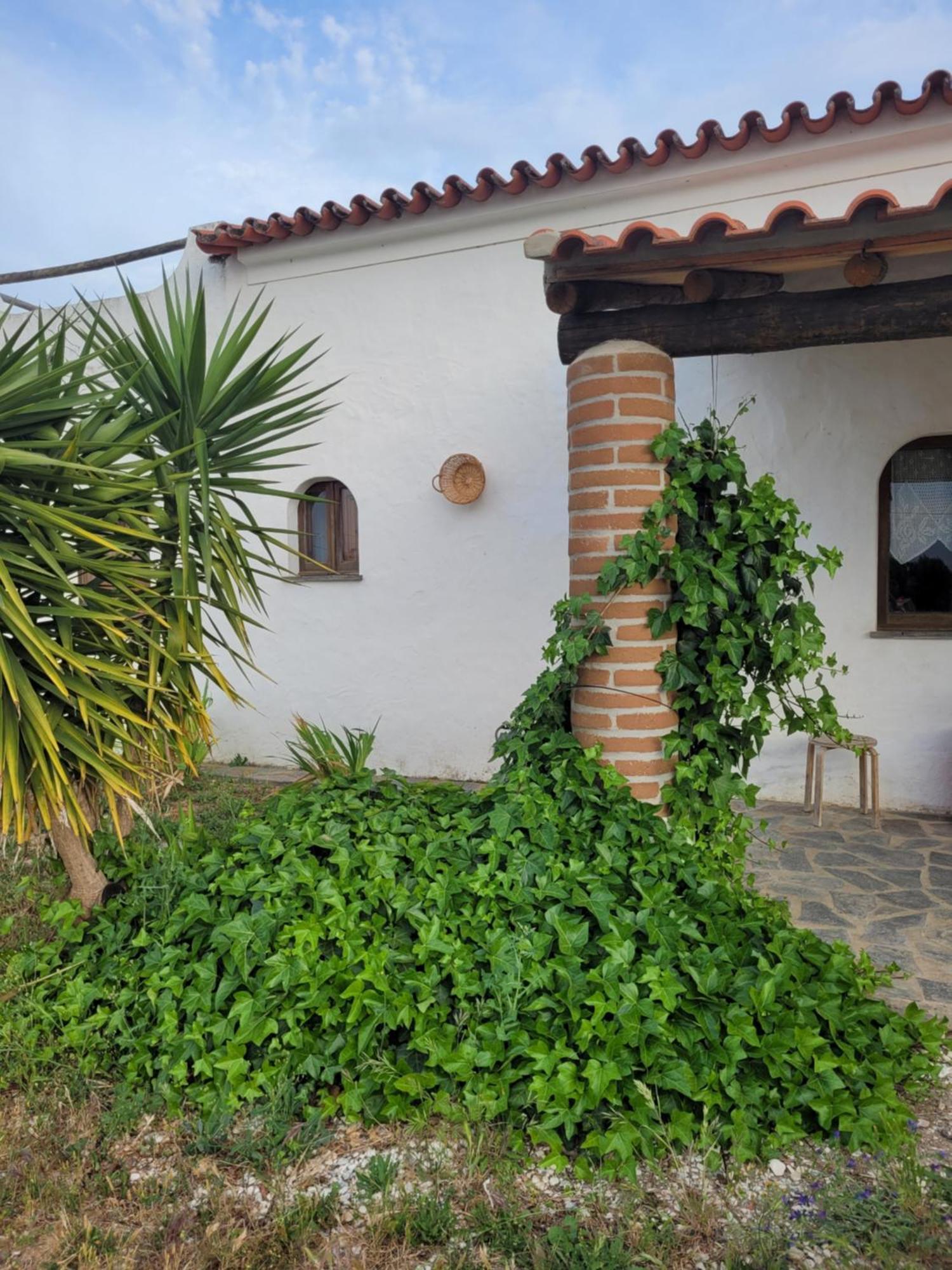 הוילה רגואנגוס דה מונסאראז Quinta Da Belavista מראה חיצוני תמונה